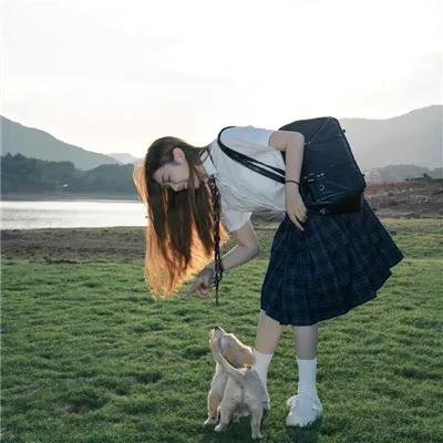 血鲨